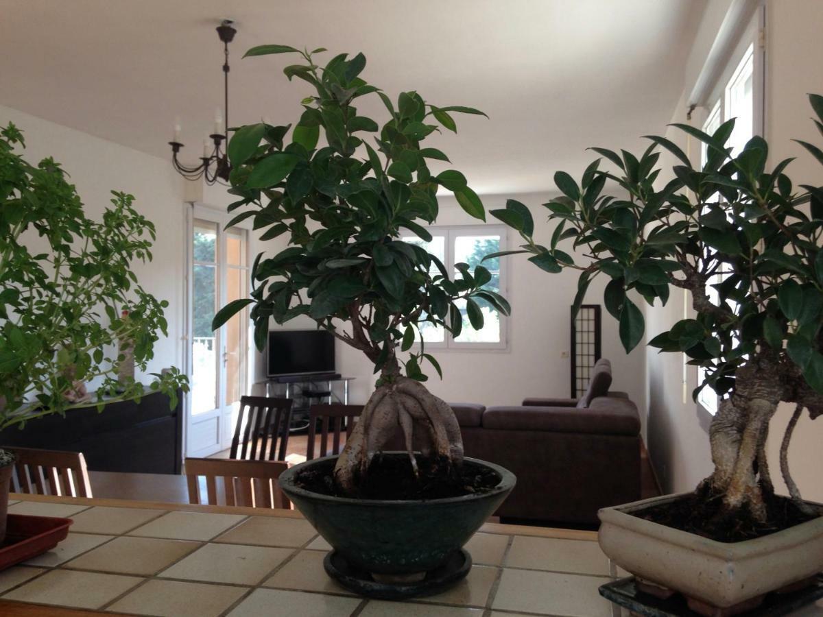 Appartement Salvaterra 索沃泰尔 外观 照片